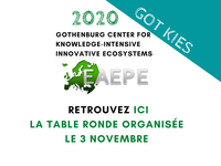 L’innovation à l’intersection des forces publiques et privées : Existe-t-il des rôles distincts pour le marché et le gouvernement ?